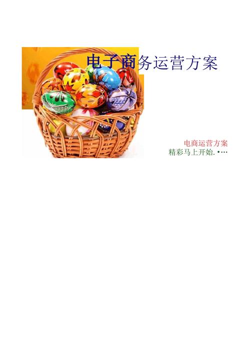 電商運(yùn)營的精細(xì)化管理 從模式到服務(wù)的全面框架