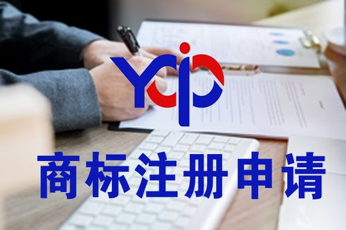 棗陽特許經(jīng)營備案如何申請(qǐng)知識(shí)產(chǎn)權(quán)服務(wù)